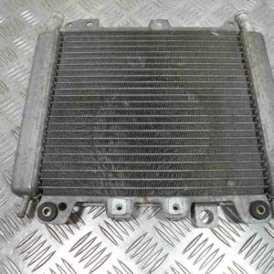 Radiateur GILERA NEXUS 125 4T -2007-