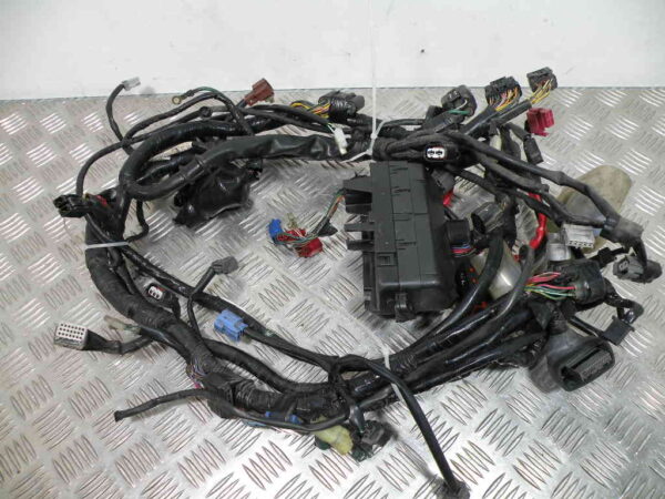 Faisceau électrique HONDA FORZA 250 4T -2009-