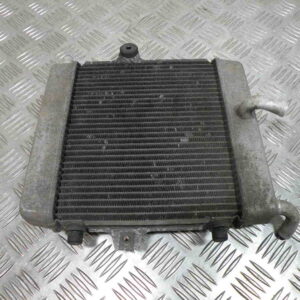 Radiateur HONDA FORZA 250 4T -2009-