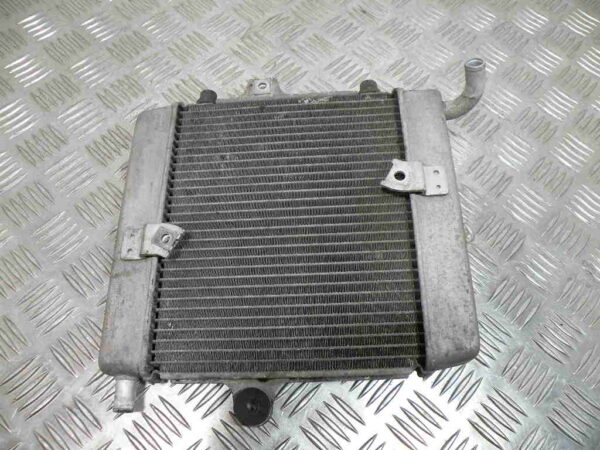 Radiateur HONDA FORZA 250 4T -2009-