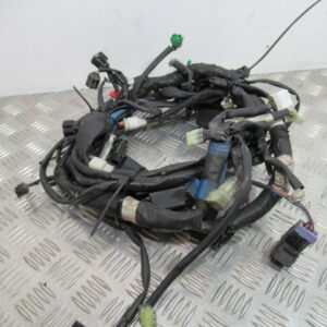 Faisceau électrique YAMAHA 125 XMAX – 2009 –