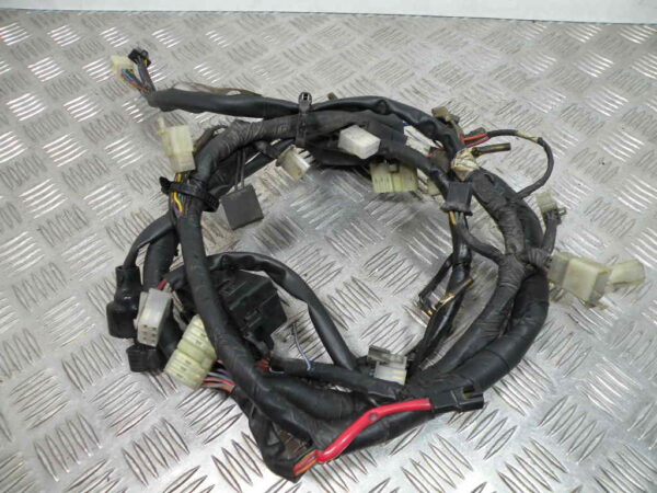 Faisceau electrique YAMAHA DIVERSION 600 4t -1995