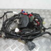 Faisceau électrique HONDA FORZA 250 4t -2008-