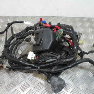 Faisceau électrique HONDA FORZA 250 4t -2008-