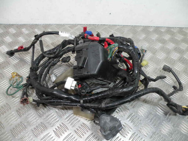 Faisceau électrique HONDA FORZA 250 4t -2008-