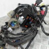 Faisceau électrique HONDA FORZA 250 4t -2008- – Image 3