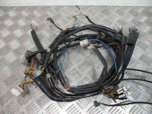 Faisceau électrque APRILIA SCARABEO 125 4t -2003-