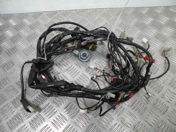 Faisceau électrique PIAGGIO FLY 50 2t -2012-