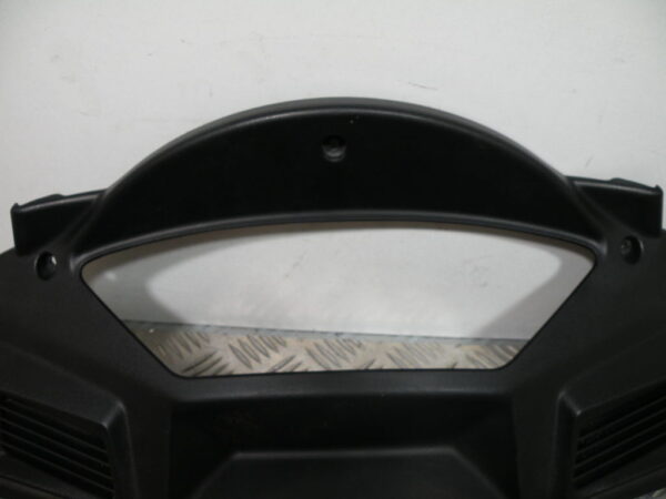 Entourage compteur   DAELIM S2 125 4t -2010-