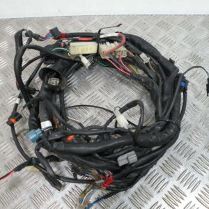 Faisceau électrique   DAELIM S2 125 4t -2010-