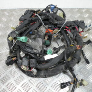 Faisceau électrique   SUZUKI BURGMAN 650 4t -2009-