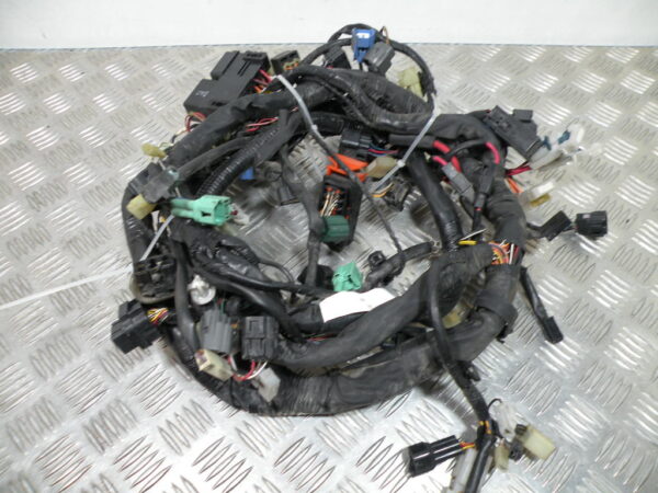 Faisceau électrique   SUZUKI BURGMAN 650 4t -2009-