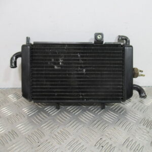 Radiateur d’eau PIAGGIO 125 HEXAGON – 1997 –