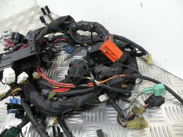 Faisceau électrique SUZUKI BURGMAN 650 4t -2006-