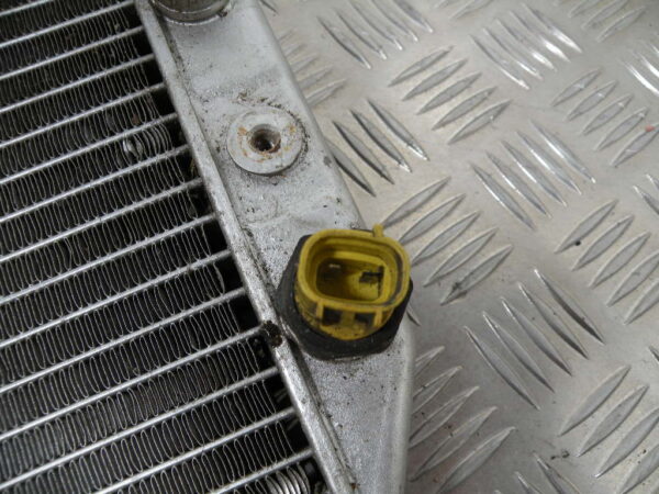 Radiateur (avec grille) SUZUKI BURGMAN 650 4t -2006-