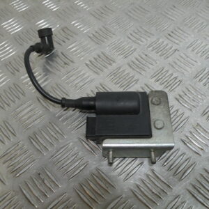 Bobine d’allumage VESPA SPRINT 50 2t -2015-