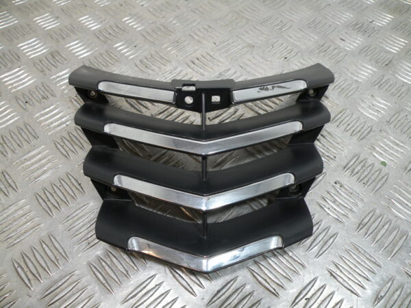 Grille de radiateur PEUGEOT CITYSTAR 50 2t -2015-
