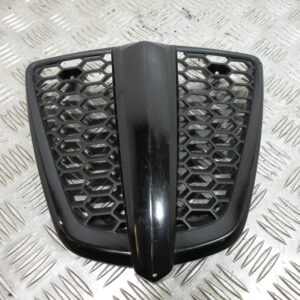 Grille de radiateur PIAGGIO MP3 300 4t -2011-