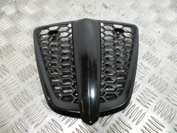 Grille de radiateur PIAGGIO MP3 300 4t -2011-