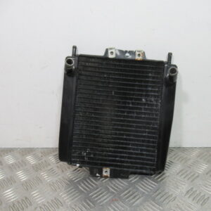 Radiateur PIAGGIO MP3 500 – 2015 –