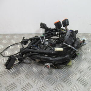 Faisceau électrique KAWASAKI Z 300 – 2016 –