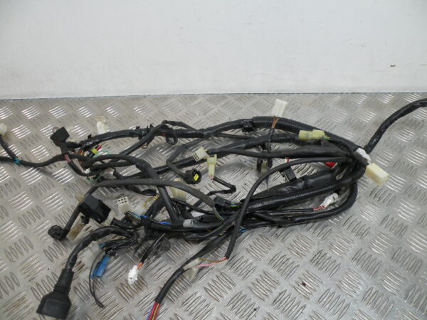 Faisceau électrique YAMAHA YN50F NEO’S 2t -2013-