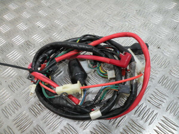 Faisceau électrique SYM 125 FIDDLE 2 4t -2013-