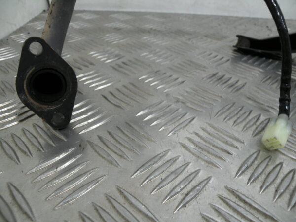 Échappement TAOTAO 50 CY 4t -2020-