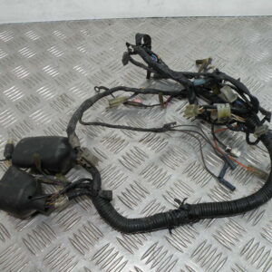 Faisceau électrique YAMAHA 125 DTR 2T -2003-