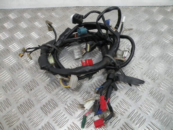 Faisceau électrique YAMAHA 125 YBR 4t -2010-
