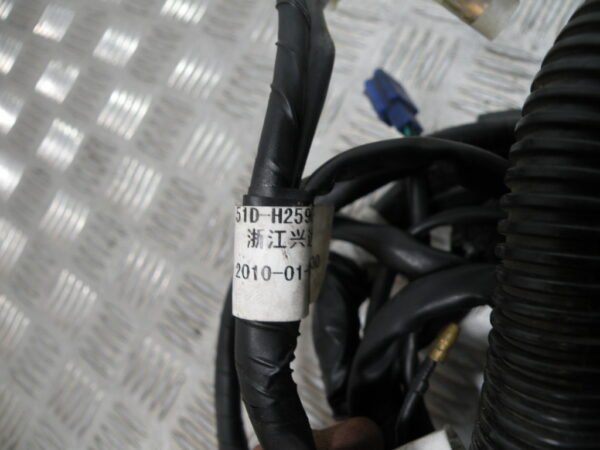 Faisceau électrique YAMAHA 125 YBR 4t -2010-