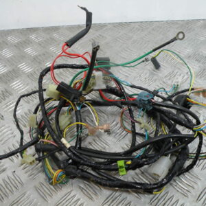 Faisceau électrique PEUGEOT 50 TREKKER 2t -2008-