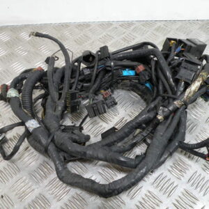 Faisceau électrique TRIUMPH 955 SPRINT 4t -2000-