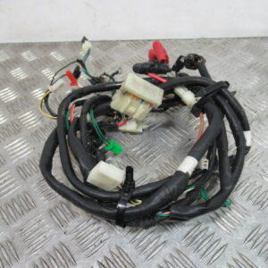 Faisceau électrique SYM 50 ORBIT 4T – 2019 –