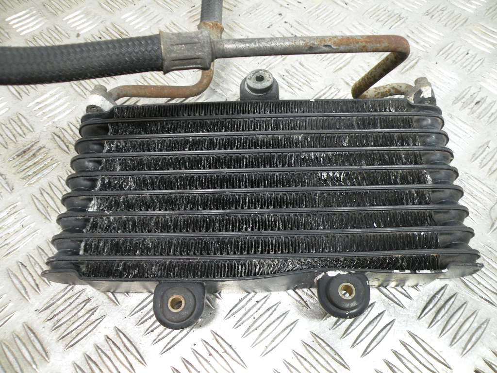 Radiateur SUZUKI XF 650 FREEWING 4t -1998-