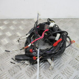 Faisceau électrique PIAGGIO ZIP 50 2T – 2017 –