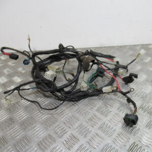 Faisceau électrique PEUGEOT VIVACITY 50 2T – 2008 –