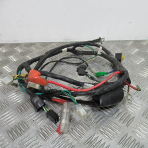 Faisceau électrique SYM ORBIT 50 4T – 2008 –