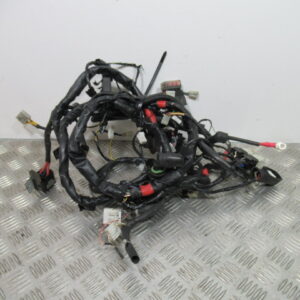 Faisceau électrique PIAGGIO 125 BEVERLY – 2003 –