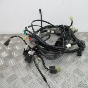 Faisceau électrique MBK NITRO 50 – 2016 –