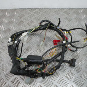 Faisceau électrique DERBI SENDA 50 DRD 2t -2011-