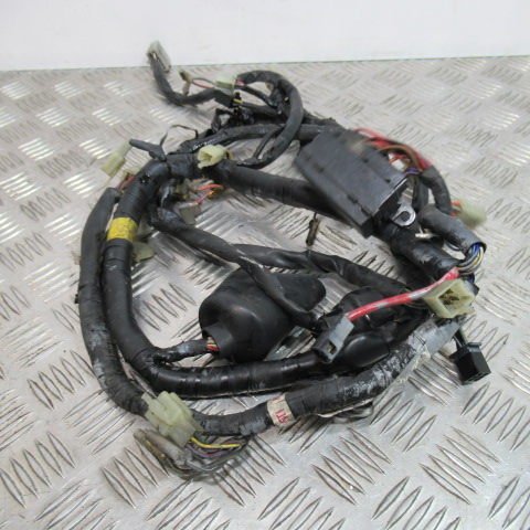 Faisceau électrique YAMAHA 600 DIVERSION – 1997 –