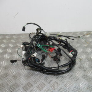 Faisceau électrique PEUGEOT 50 KISBEE – 2020 –