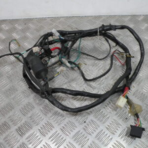 Faisceau électrique KYMCO 50 AGILITY 4t -2009-