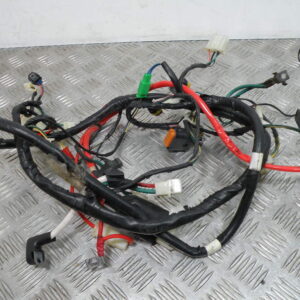 Faisceau électrique SYM 50 ORBIT II 4t -2018-