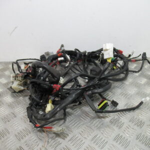 Faisceau électrique VESPA 125 GTS – 2014 –