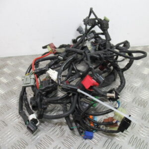 Faisceau électrique HONDA 600 CBF N – 2008 –