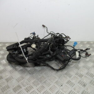 Faisceau électrique BMW K1200R – 2005 –
