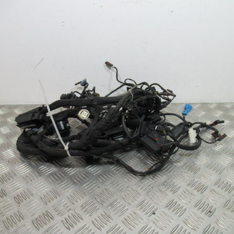 Faisceau électrique BMW K1200R – 2005 –