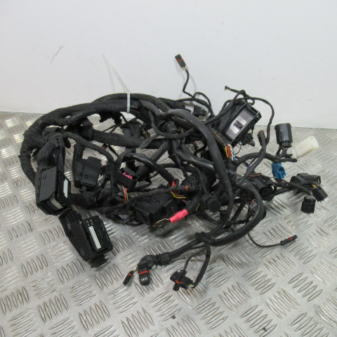 Faisceau électrique BMW K1200R – 2005 –